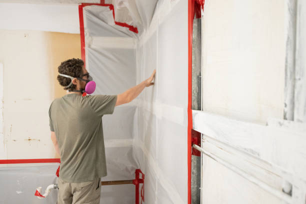  Gouldtown, NJ Mold Removal Pros