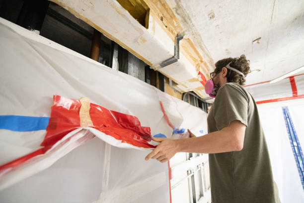 Best Mold Damage Restoration  in Gouldtown, NJ