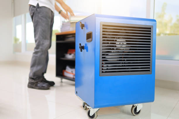 Best Residential Mold Inspection & Testing  in Gouldtown, NJ
