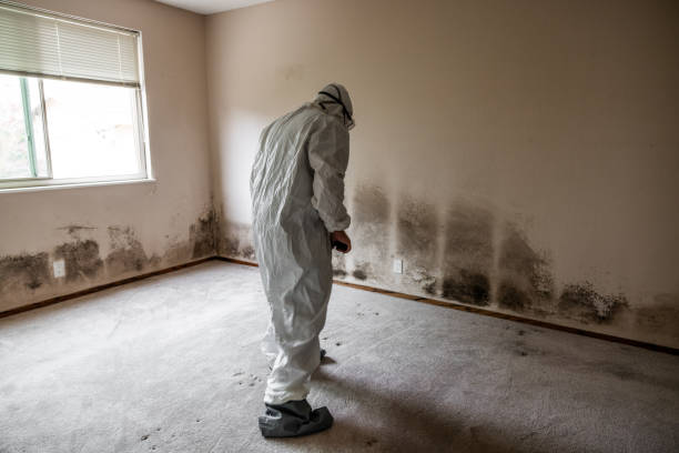 Best Dehumidification Services  in Gouldtown, NJ
